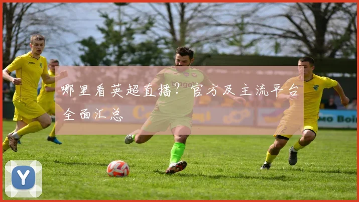 哪里看英超直播？官方及主流平台全面汇总