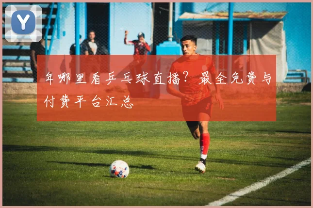年哪里看乒乓球直播？最全免费与付费平台汇总