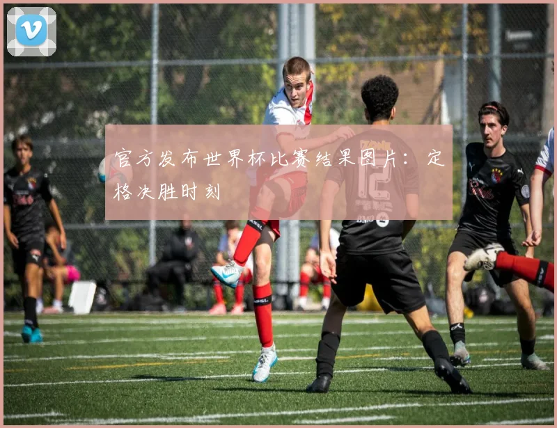 官方发布世界杯比赛结果图片：定格决胜时刻