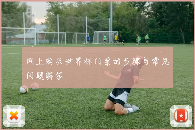 网上购买世界杯门票的步骤与常见问题解答