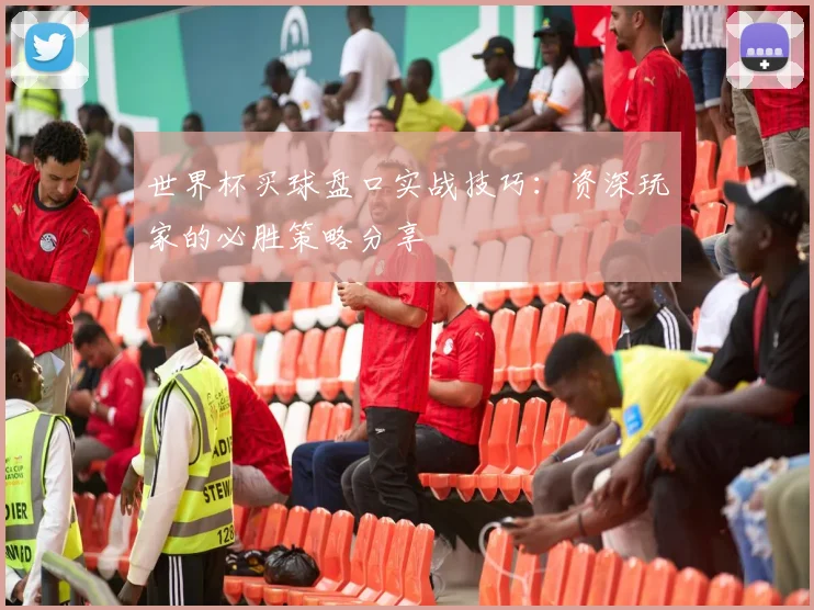 世界杯买球盘口实战技巧:资深玩家的必胜策略分享