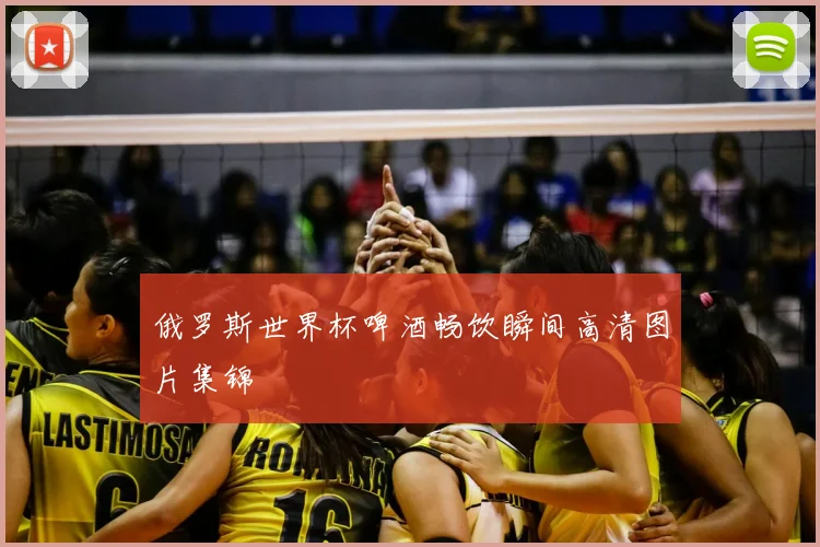 俄罗斯世界杯啤酒畅饮瞬间高清图片集锦