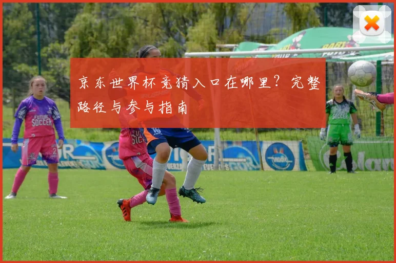京东世界杯竞猜入口在哪里？完整路径与参与指南