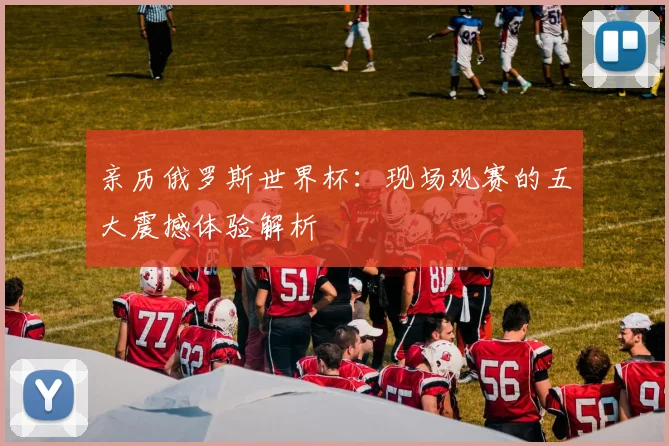 亲历俄罗斯世界杯：现场观赛的五大震撼体验解析