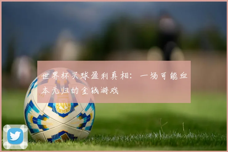 世界杯买球盈利真相:一场可能血本无归的金钱游戏